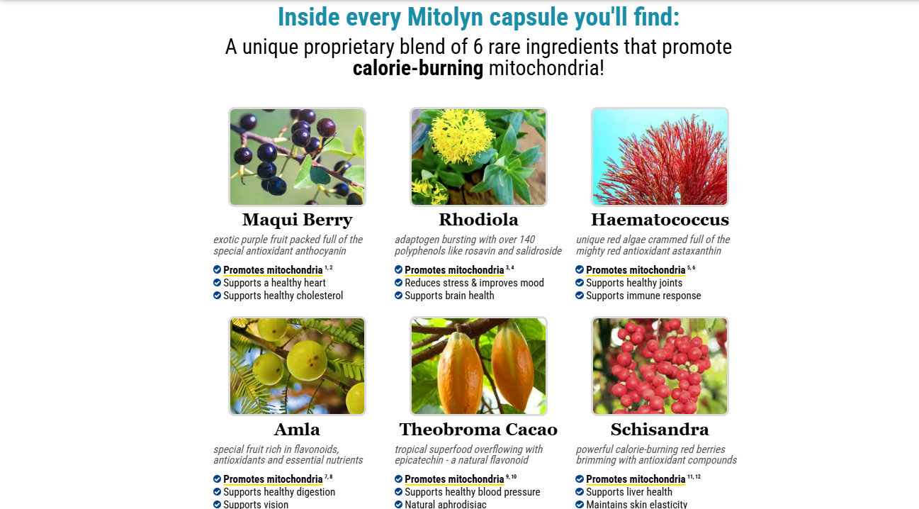 Mitolyn Ingredients